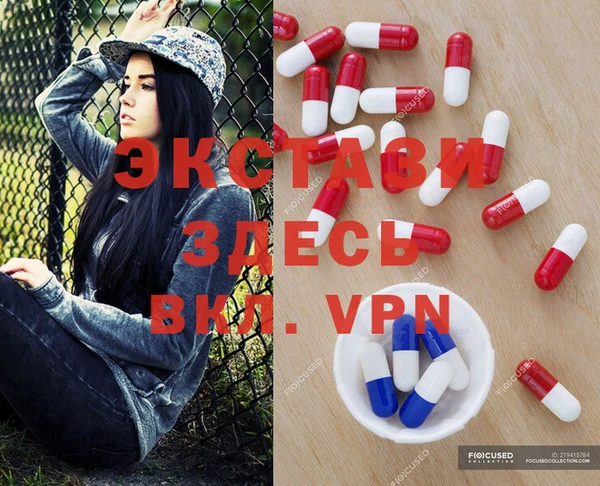 ECSTASY Богородицк