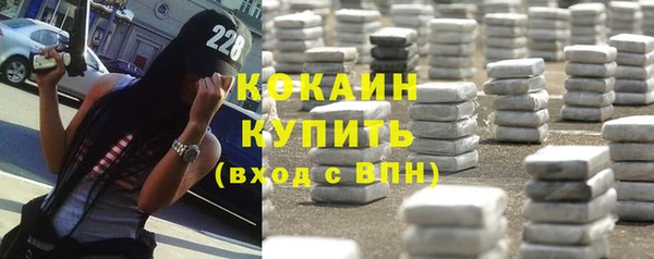 винт Богданович