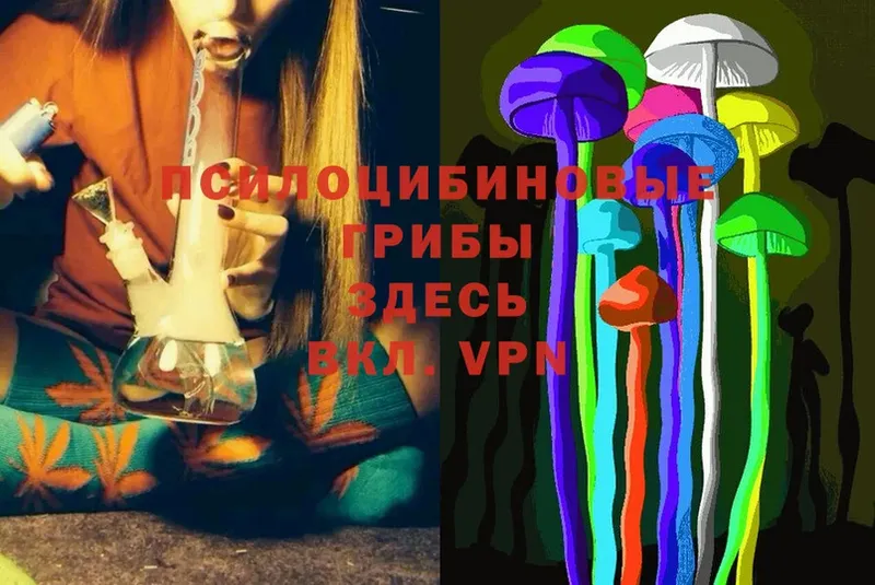 Галлюциногенные грибы Magic Shrooms  Полевской 